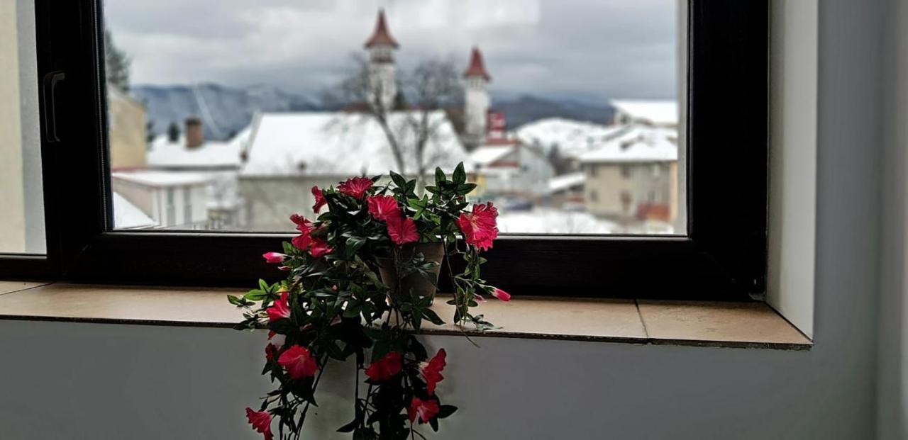 William's 3* Brasov